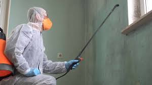 Best Asbestos and Lead Testing During Mold Inspection  in Belle, MO