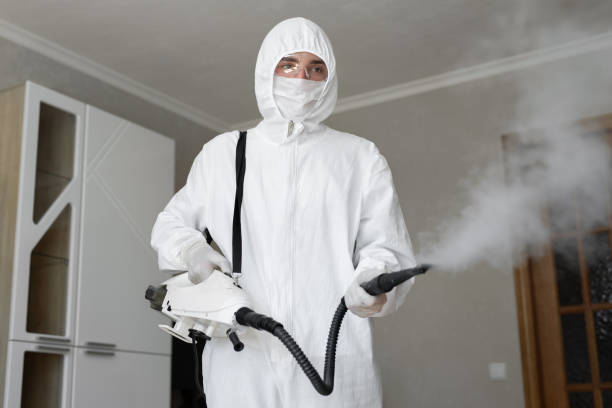 Best Mold Remediation for Rental Properties  in Belle, MO