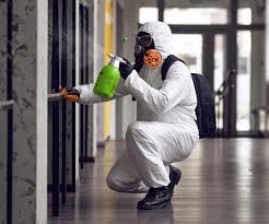 Professional Mold Removal & Remediation in Belle, MO